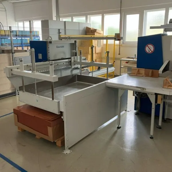 Baumann 6N Model 2000